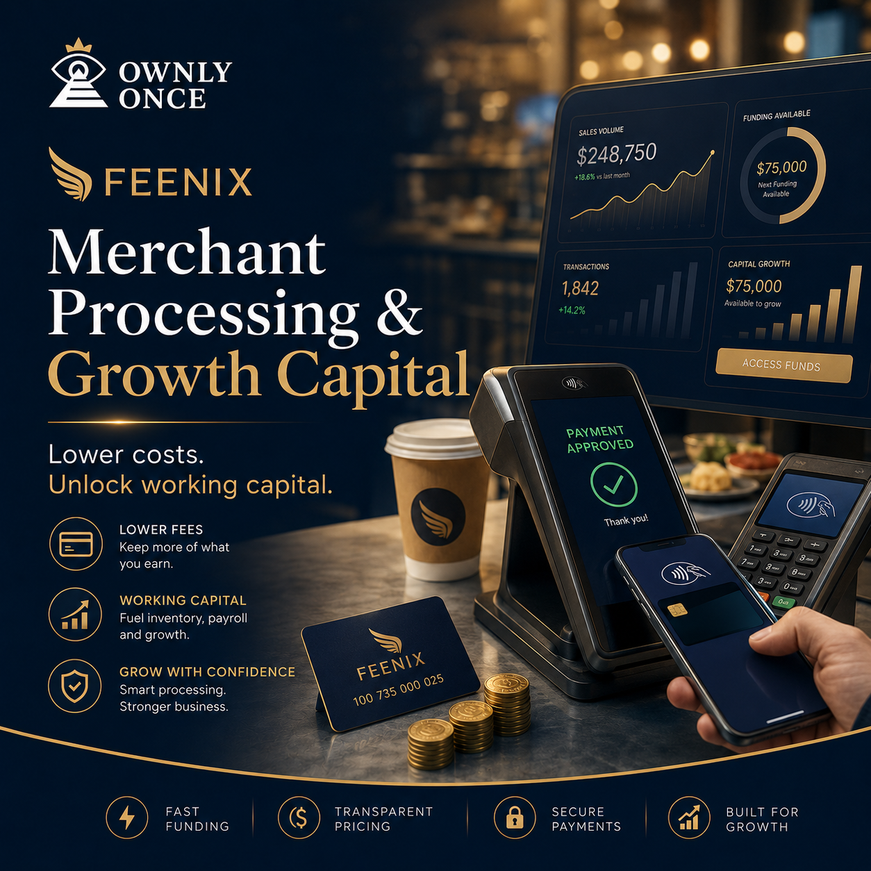 Feenix merchant processing and growth capital graphic